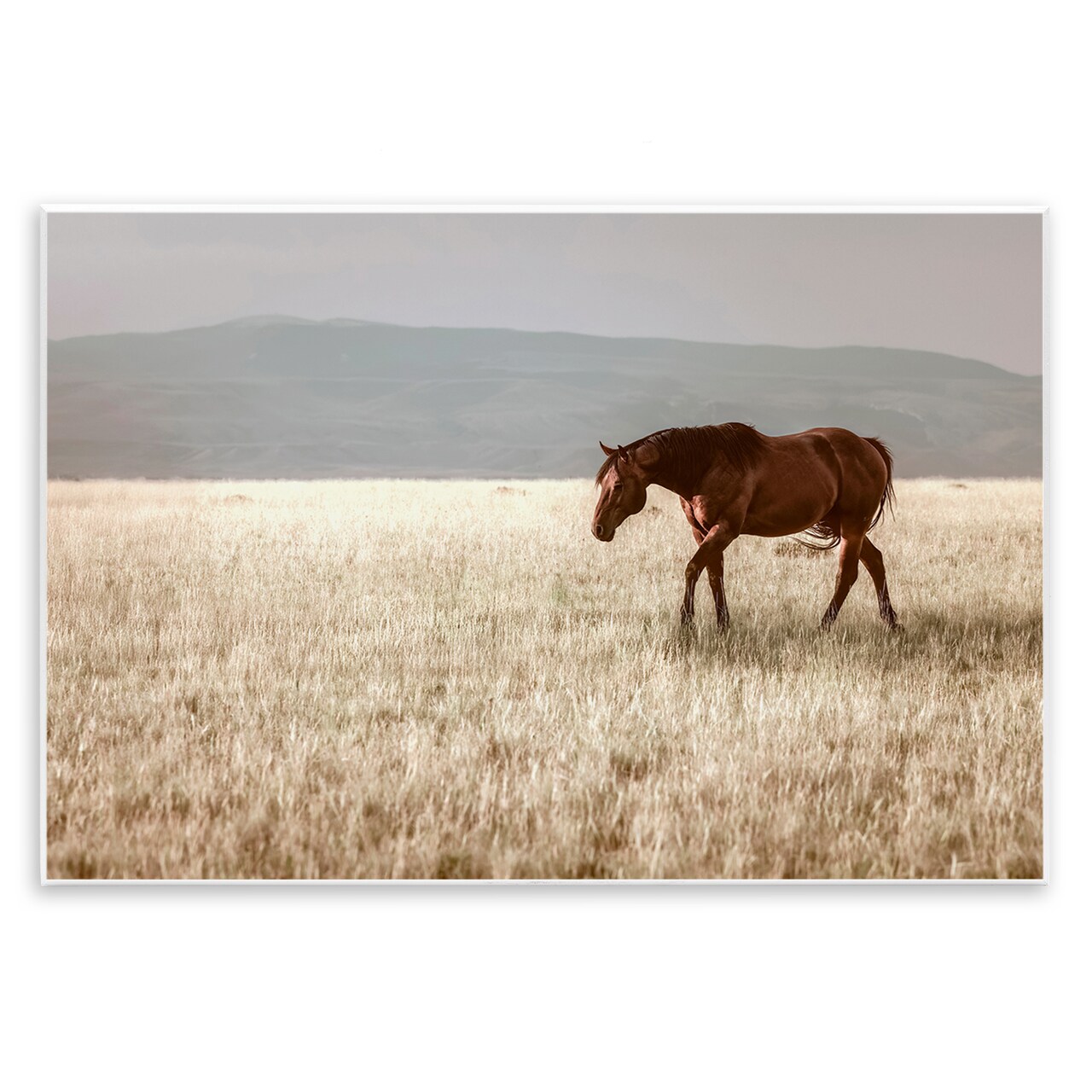 Stupell Industries Serene Montana Stallion Wall Plaque, design by Christy Berry